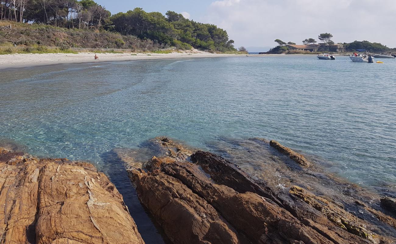 Queen Jeanne beach'in fotoğrafı parlak kum yüzey ile