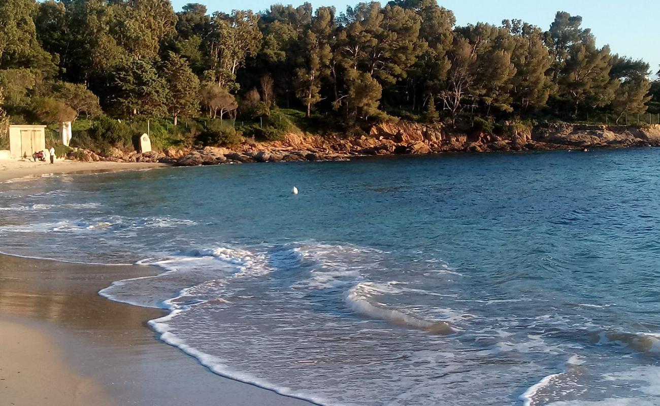 Dimple beach'in fotoğrafı beyaz kum yüzey ile