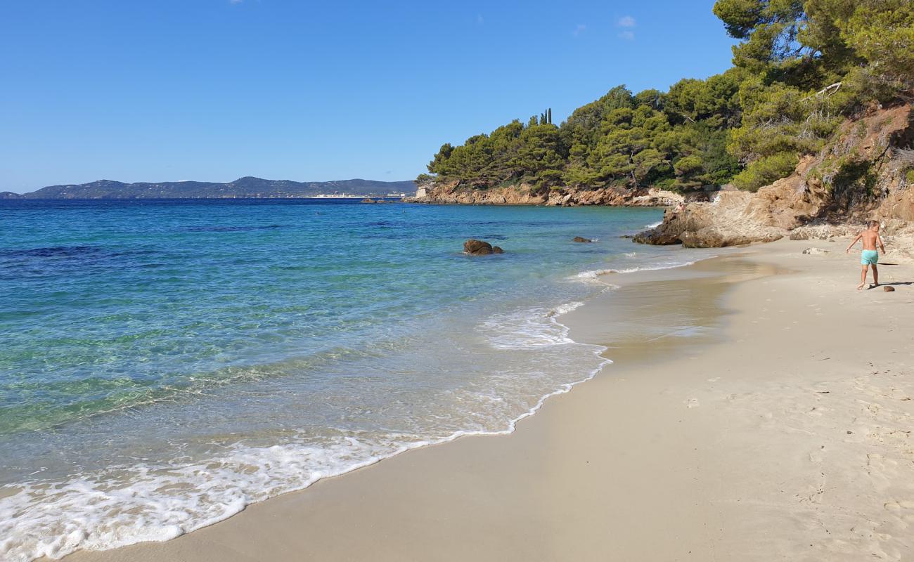 White Jean beach'in fotoğrafı parlak kum yüzey ile