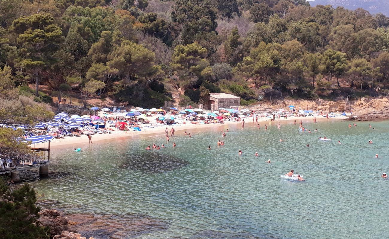 Layet Plajı'in fotoğrafı parlak kum yüzey ile