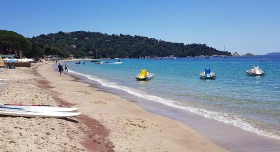 Le Cavaliere Plajı