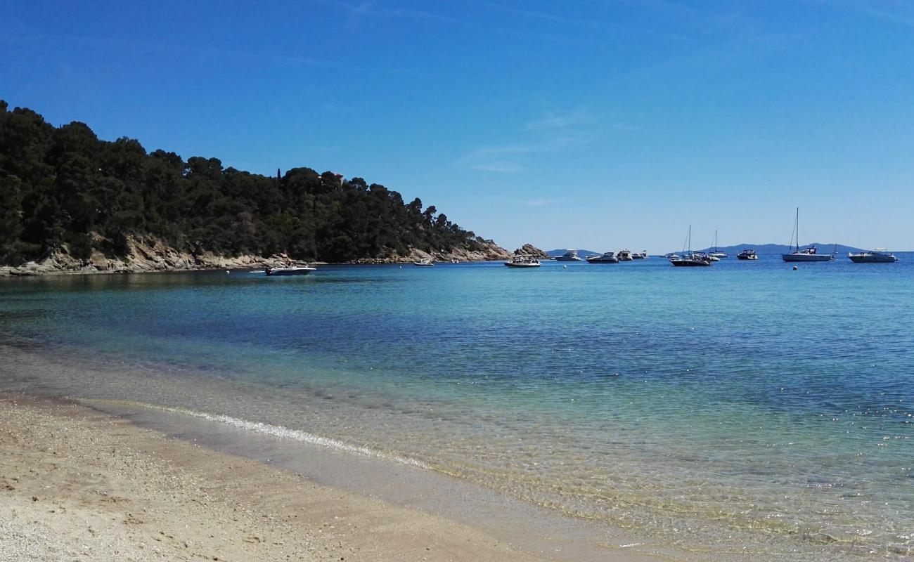 Cap Negre beach'in fotoğrafı parlak kum yüzey ile