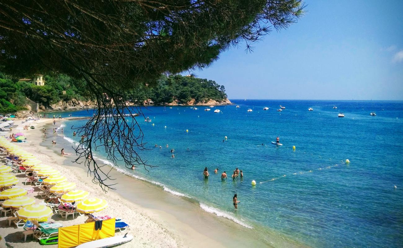 Canadel beach'in fotoğrafı parlak kum yüzey ile