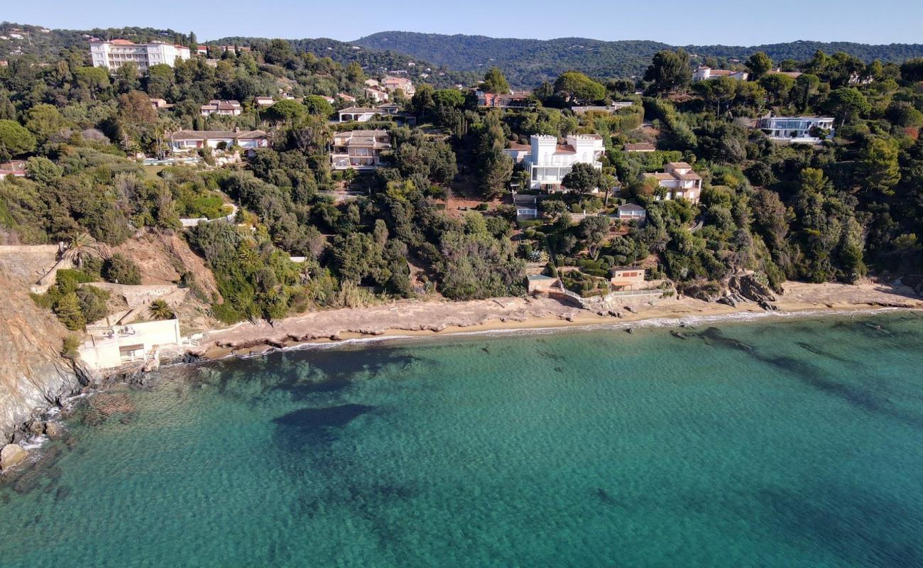 Plage de Sylvabelle'in fotoğrafı parlak kum yüzey ile