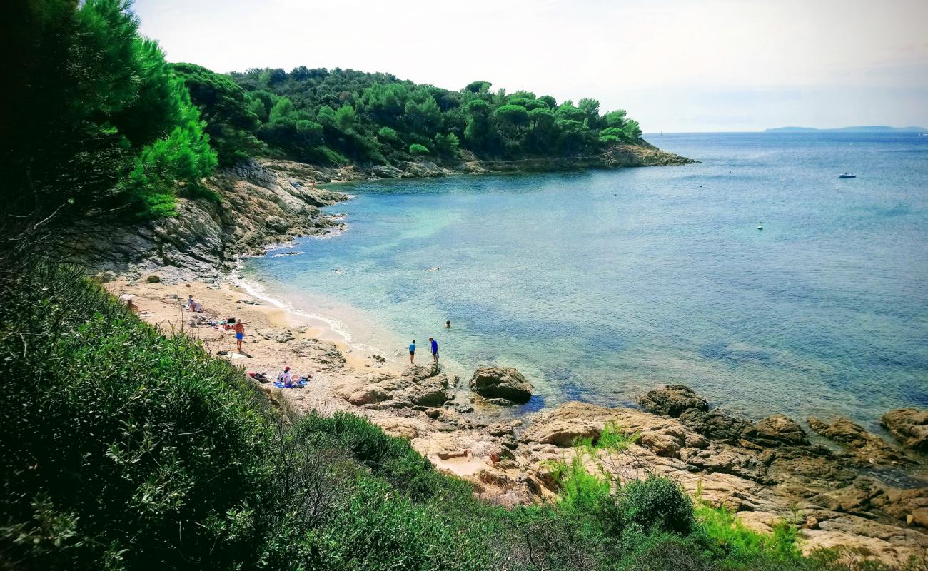 Plage de Gigaro'in fotoğrafı parlak kum ve kayalar yüzey ile