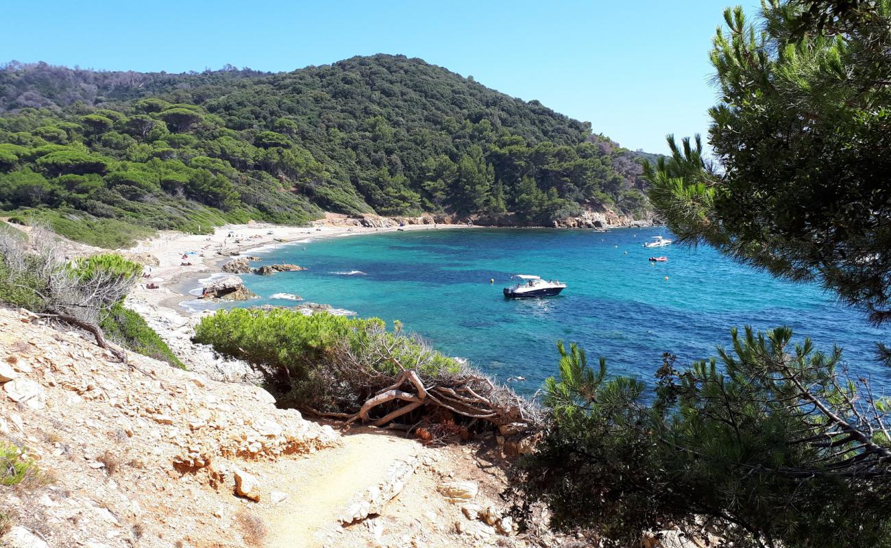 Brouis beach'in fotoğrafı parlak kum yüzey ile