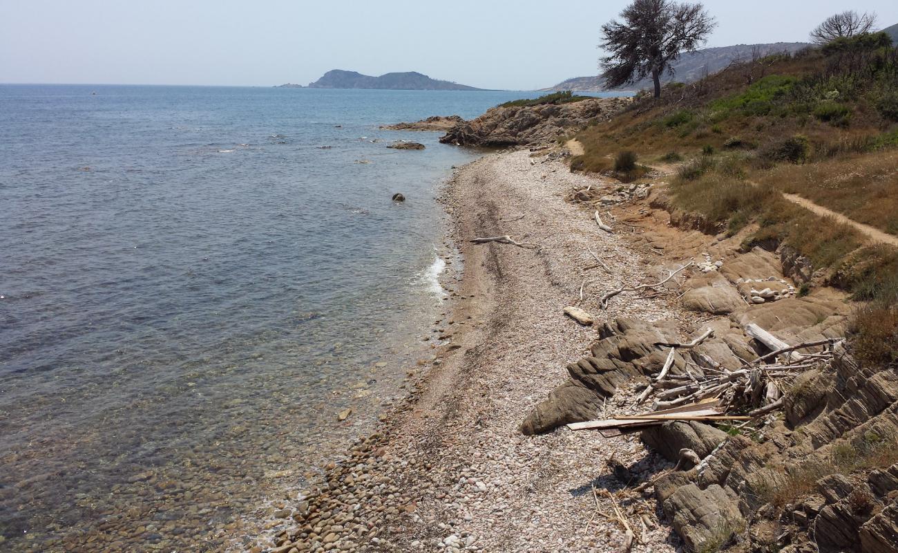 Quessine beach'in fotoğrafı taşlar yüzey ile