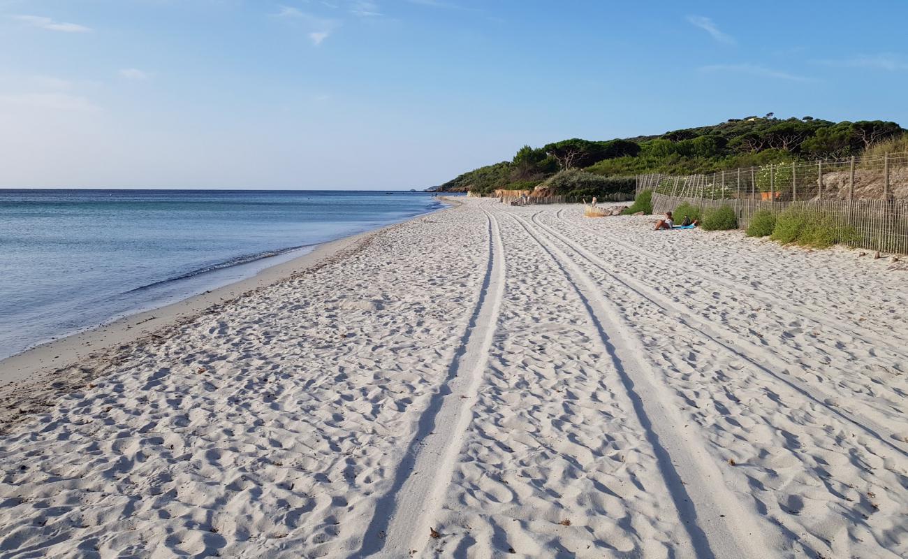 Salins beach'in fotoğrafı parlak ince kum yüzey ile