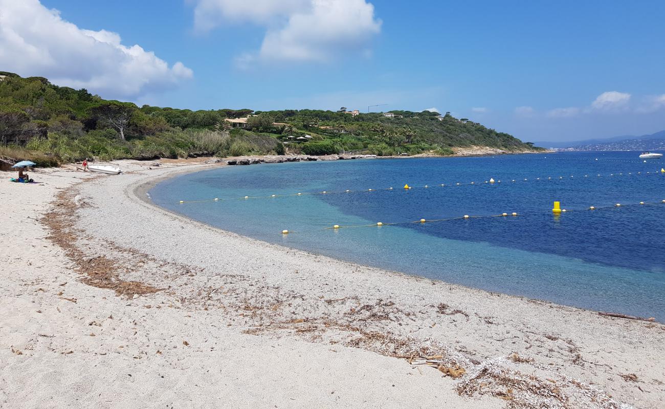 La Moutte beach'in fotoğrafı parlak kum yüzey ile