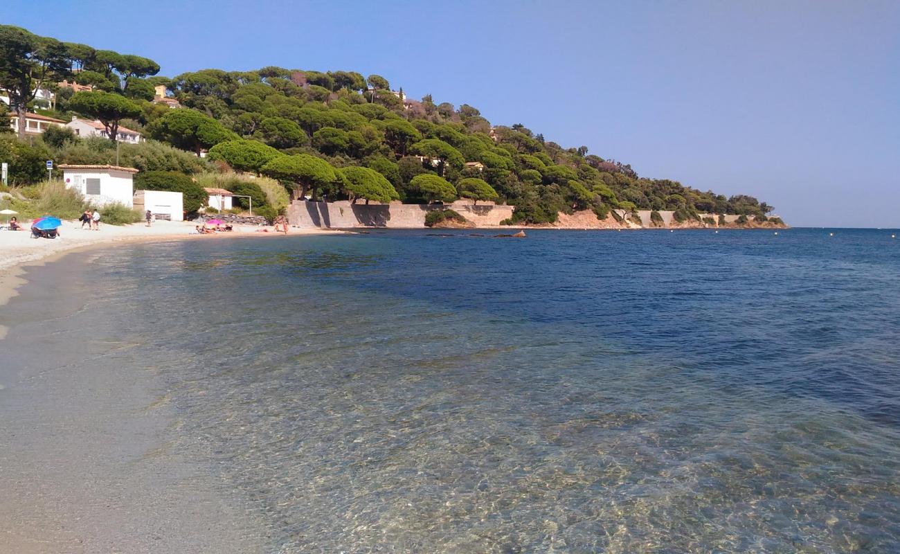 Madrague beach'in fotoğrafı parlak kum yüzey ile