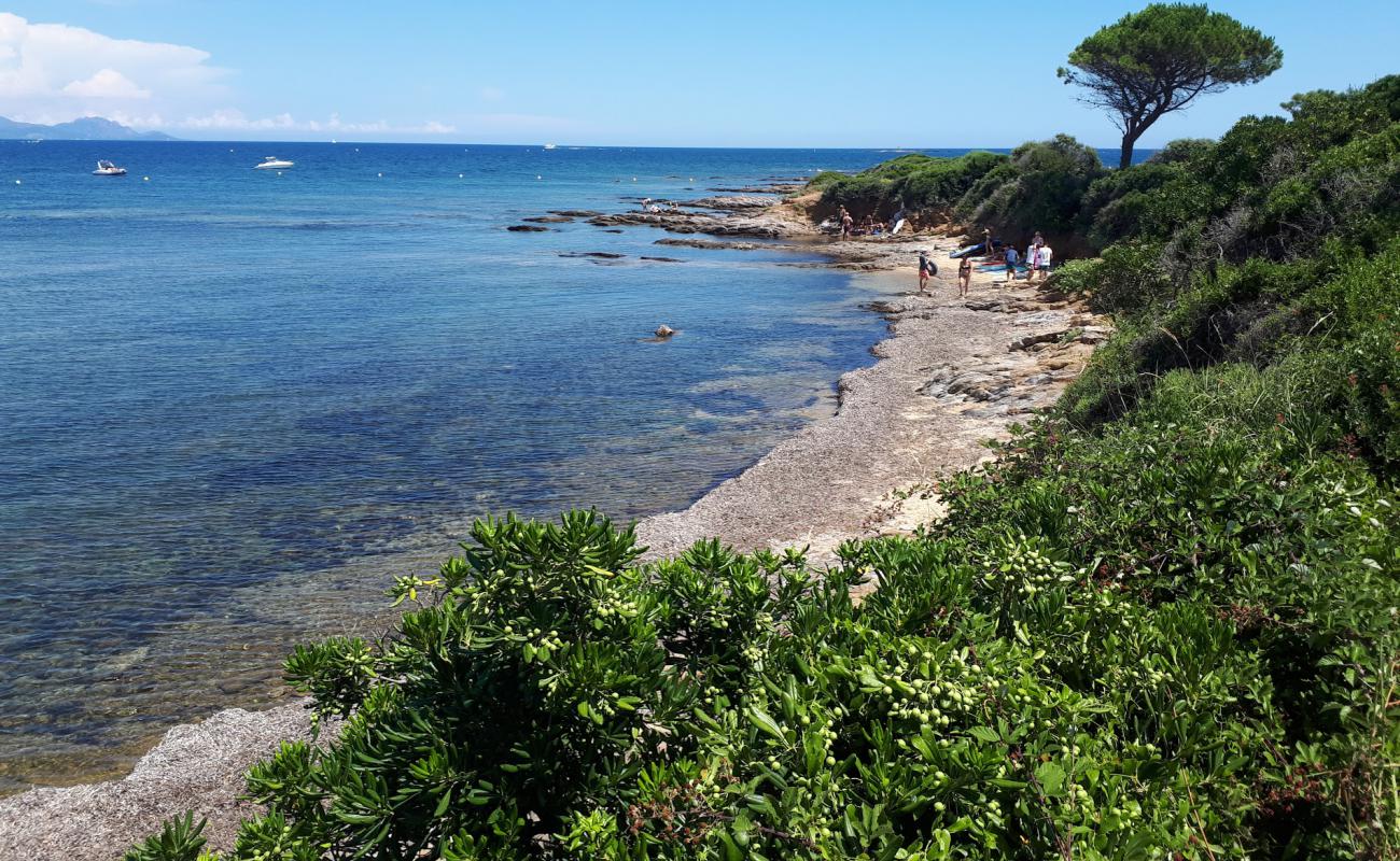 Plages de Sainte-Maxime'in fotoğrafı parlak kum ve kayalar yüzey ile