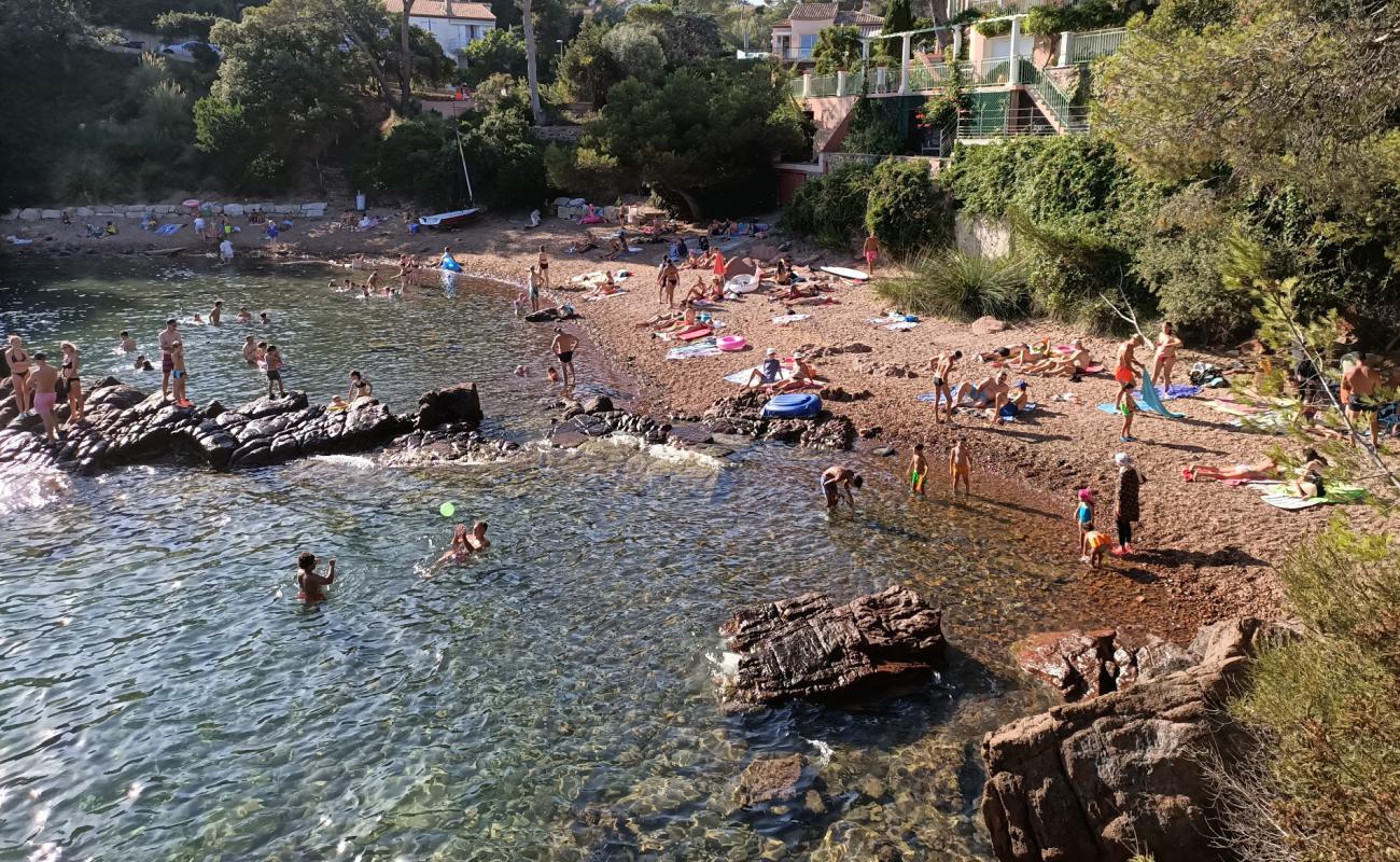 Plage du Fournas'in fotoğrafı kahverengi çakıl yüzey ile