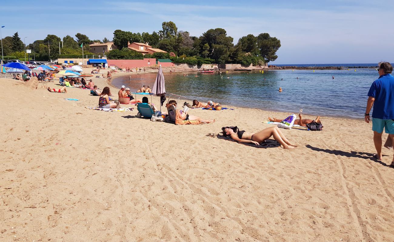 Plage de la Peguiere'in fotoğrafı parlak kum yüzey ile