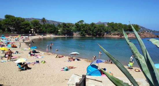 Plage de Camp Long