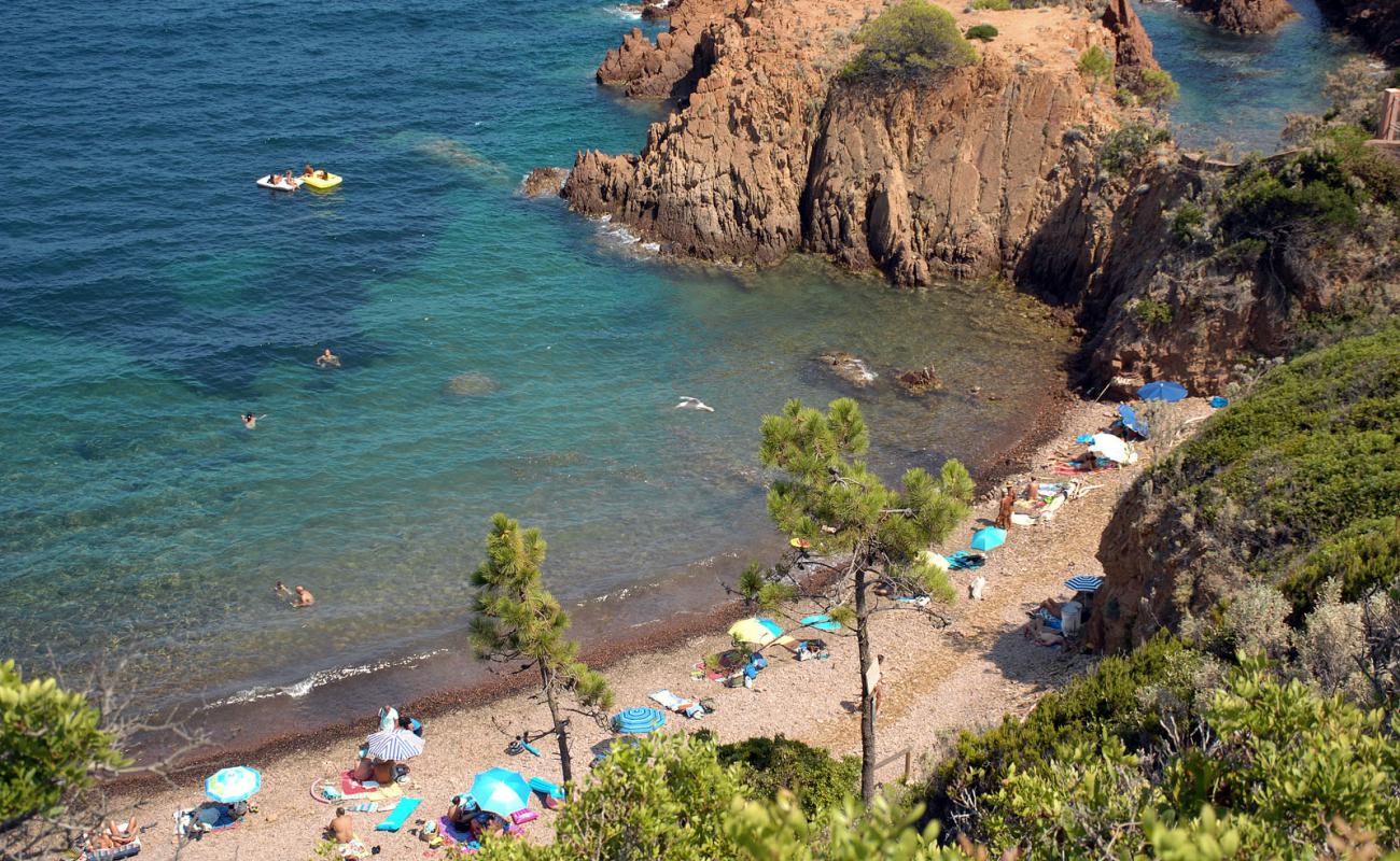 Cap Roux beach II'in fotoğrafı kahverengi çakıl yüzey ile