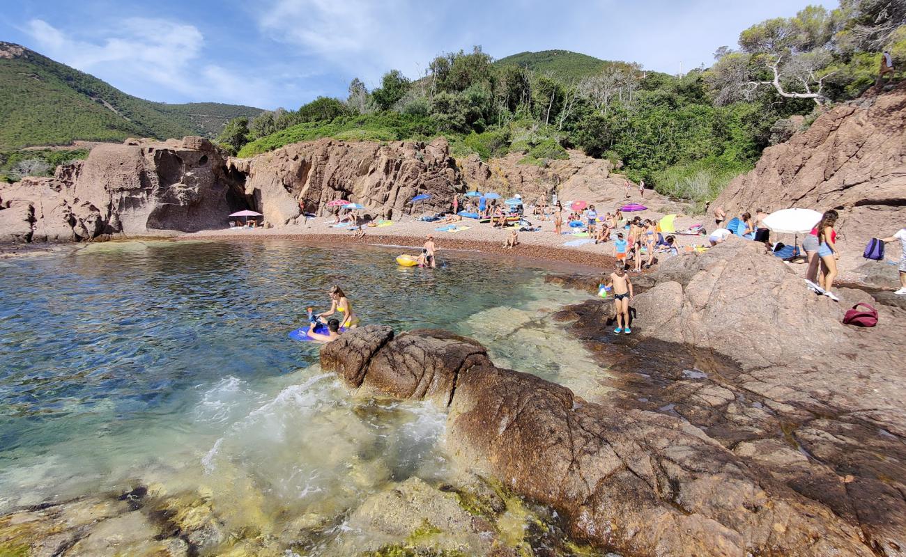 Plage de Maupas'in fotoğrafı kahverengi çakıl yüzey ile