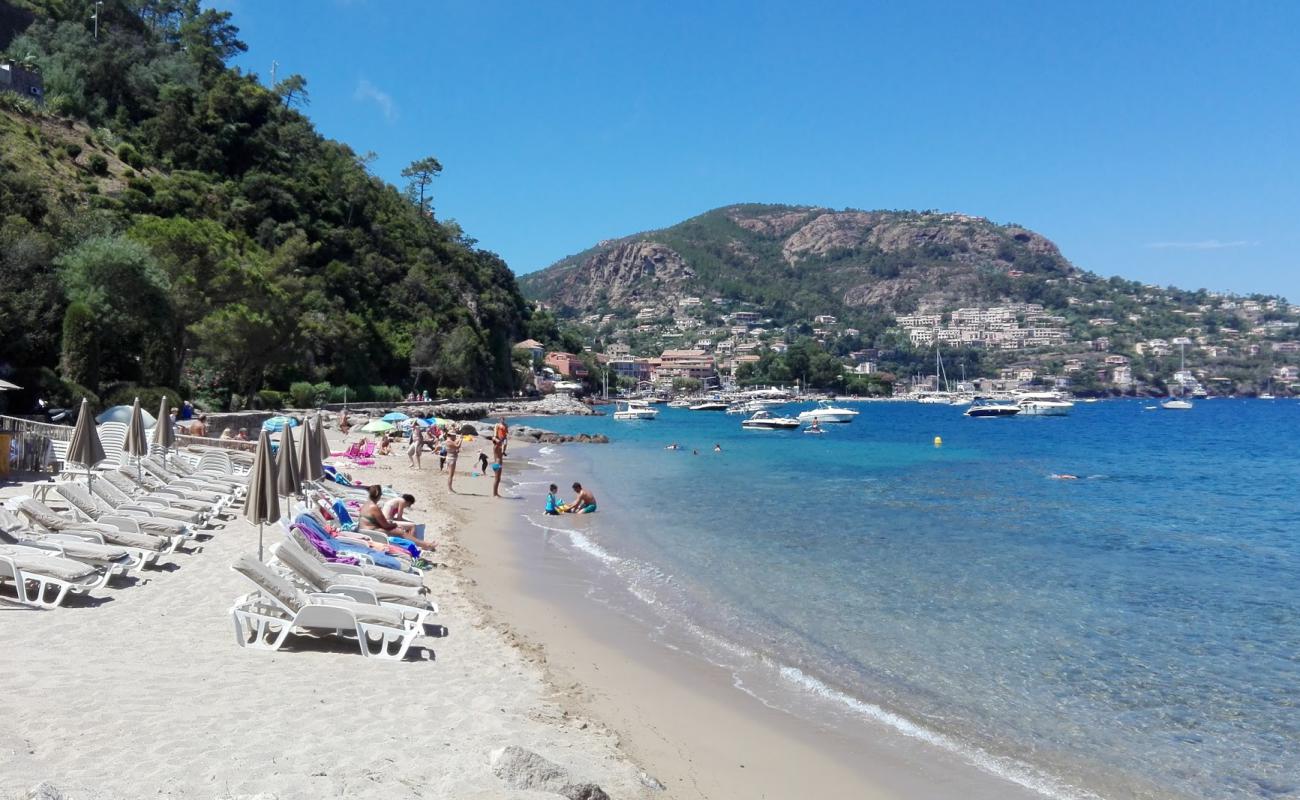 Petite Fontaine beach'in fotoğrafı parlak ince kum yüzey ile