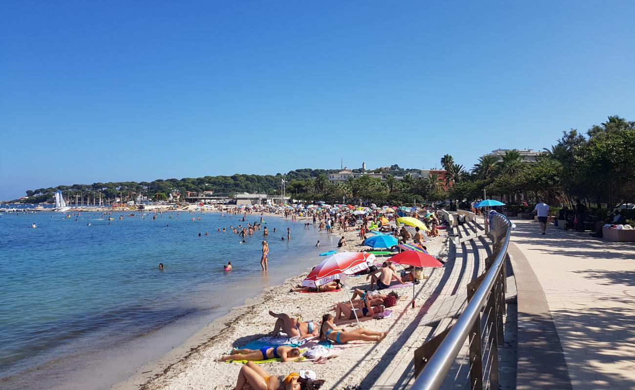 Plage du Ponteil'in fotoğrafı açık bej kum yüzey ile