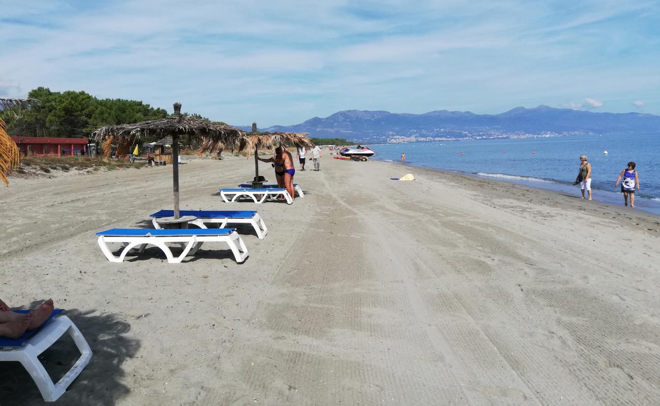 Plage de Borgo'in fotoğrafı parlak kum yüzey ile