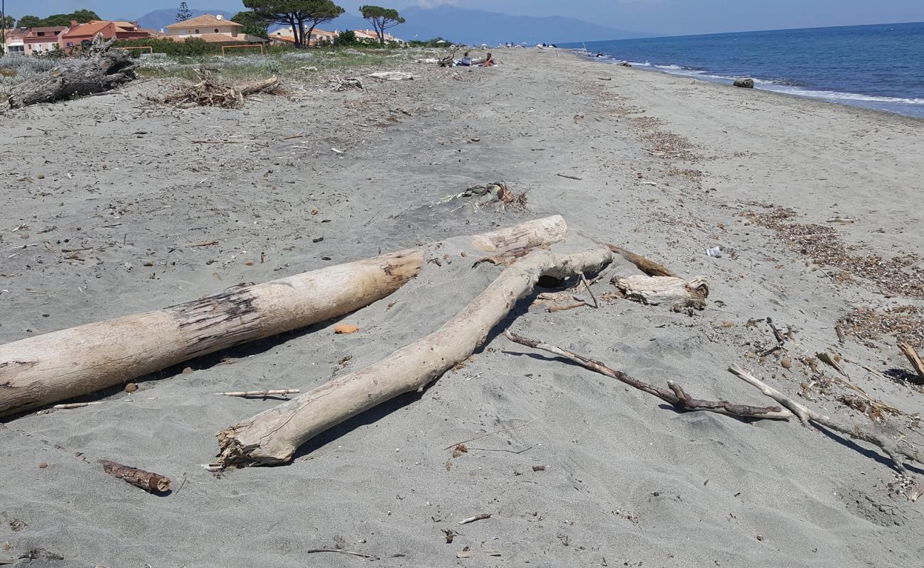 Plage de la Marana'in fotoğrafı açık bej kum yüzey ile