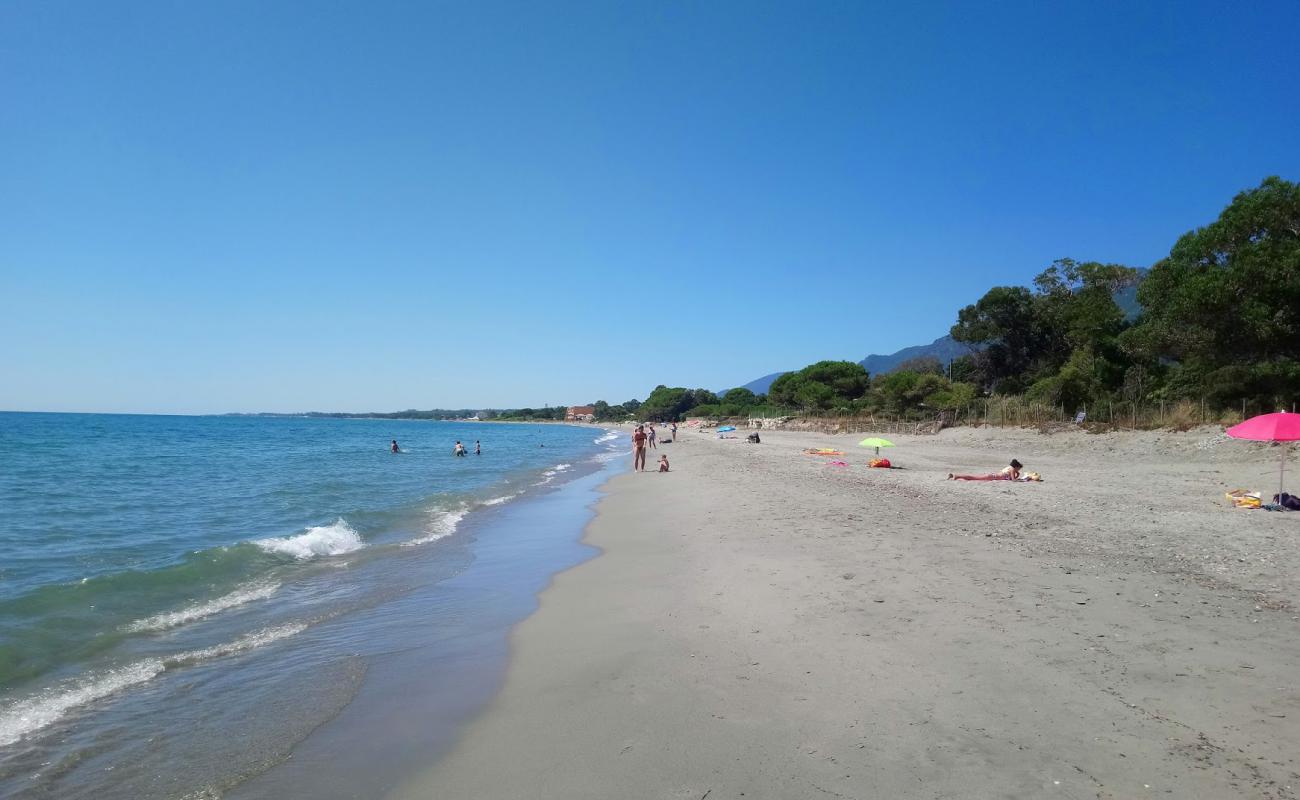 Ponticchio beach'in fotoğrafı parlak kum yüzey ile