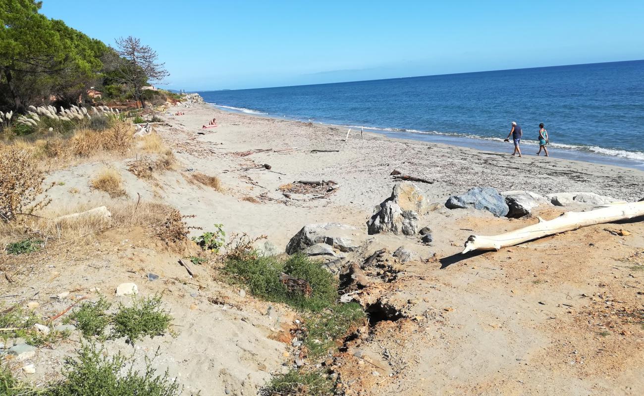 Pisonaccio'in fotoğrafı parlak kum yüzey ile