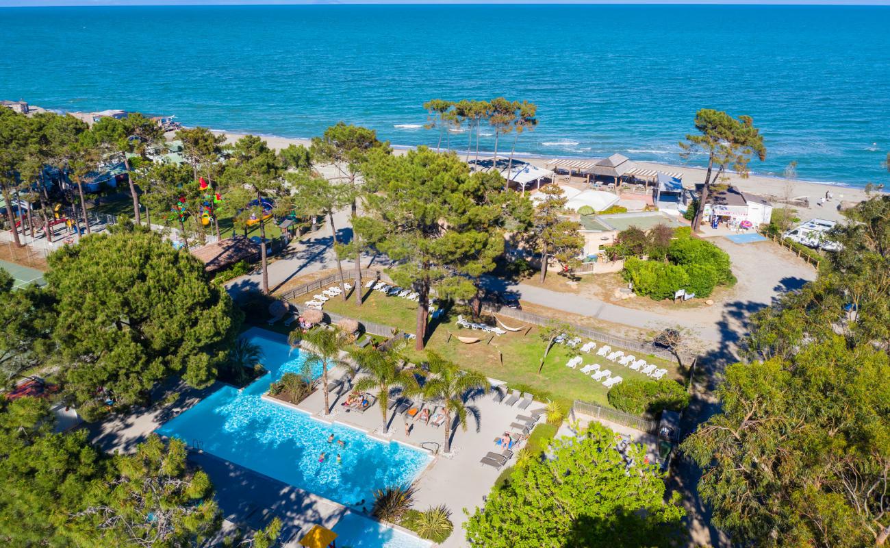 Plage d'Aleria'in fotoğrafı parlak kum yüzey ile