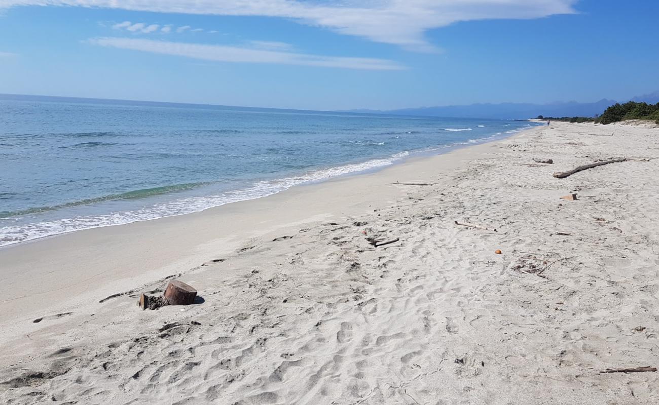 Plage de Casabianda'in fotoğrafı parlak kum yüzey ile