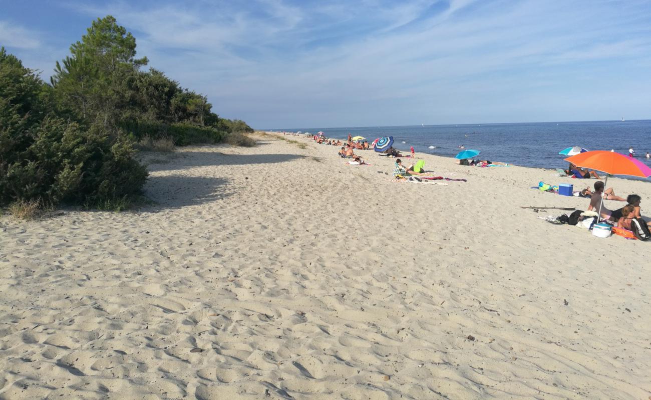 Plage Pinia'in fotoğrafı parlak ince kum yüzey ile