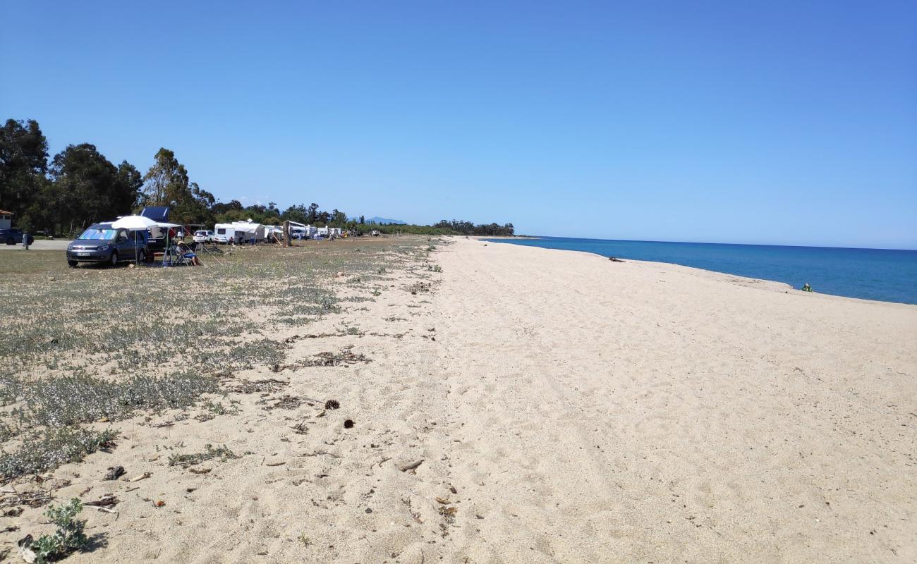 Marina Di Funtanaccia'in fotoğrafı açık bej kum yüzey ile