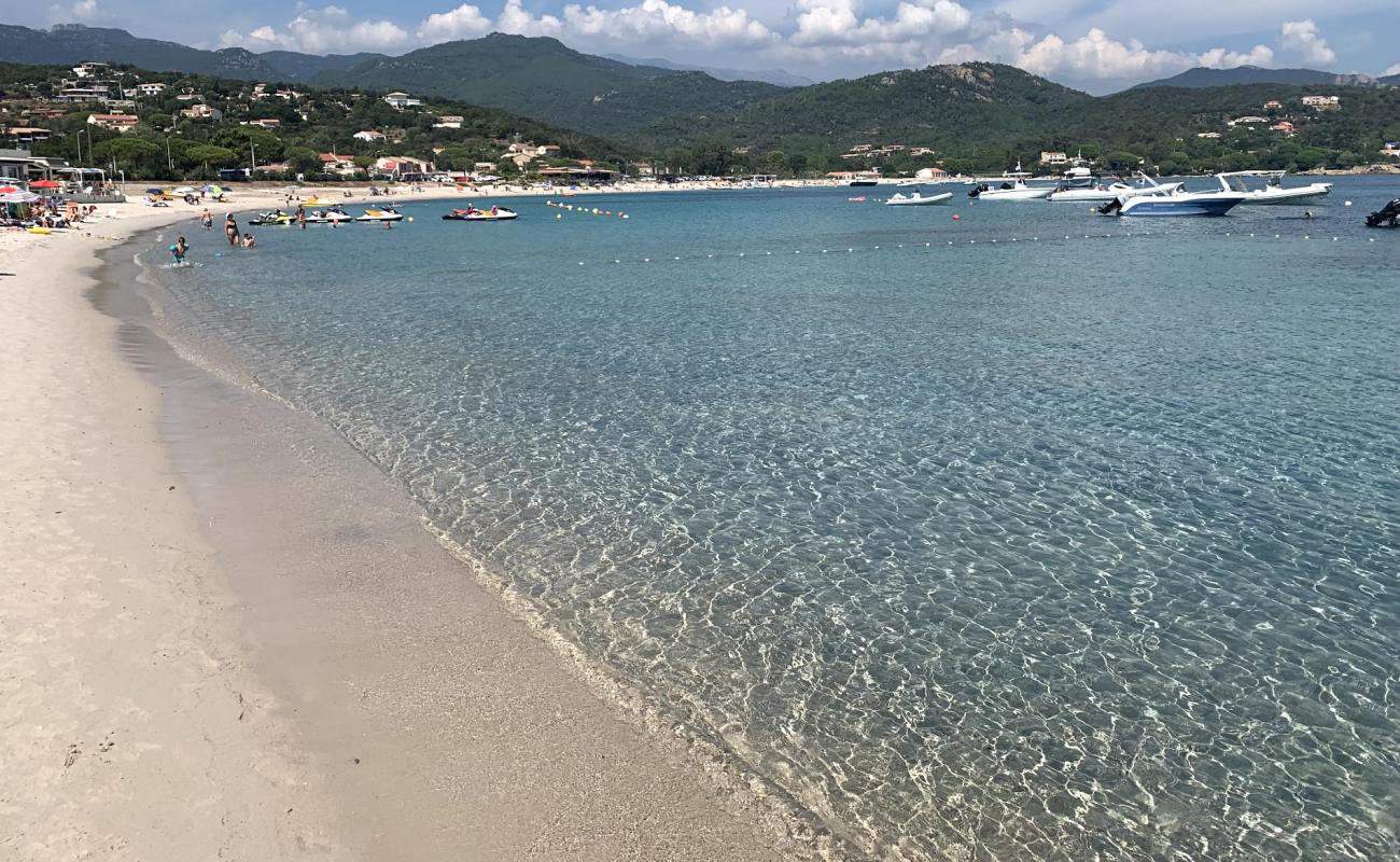 Plage de Favone'in fotoğrafı parlak kum yüzey ile