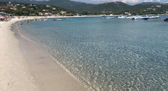 Plage de Favone