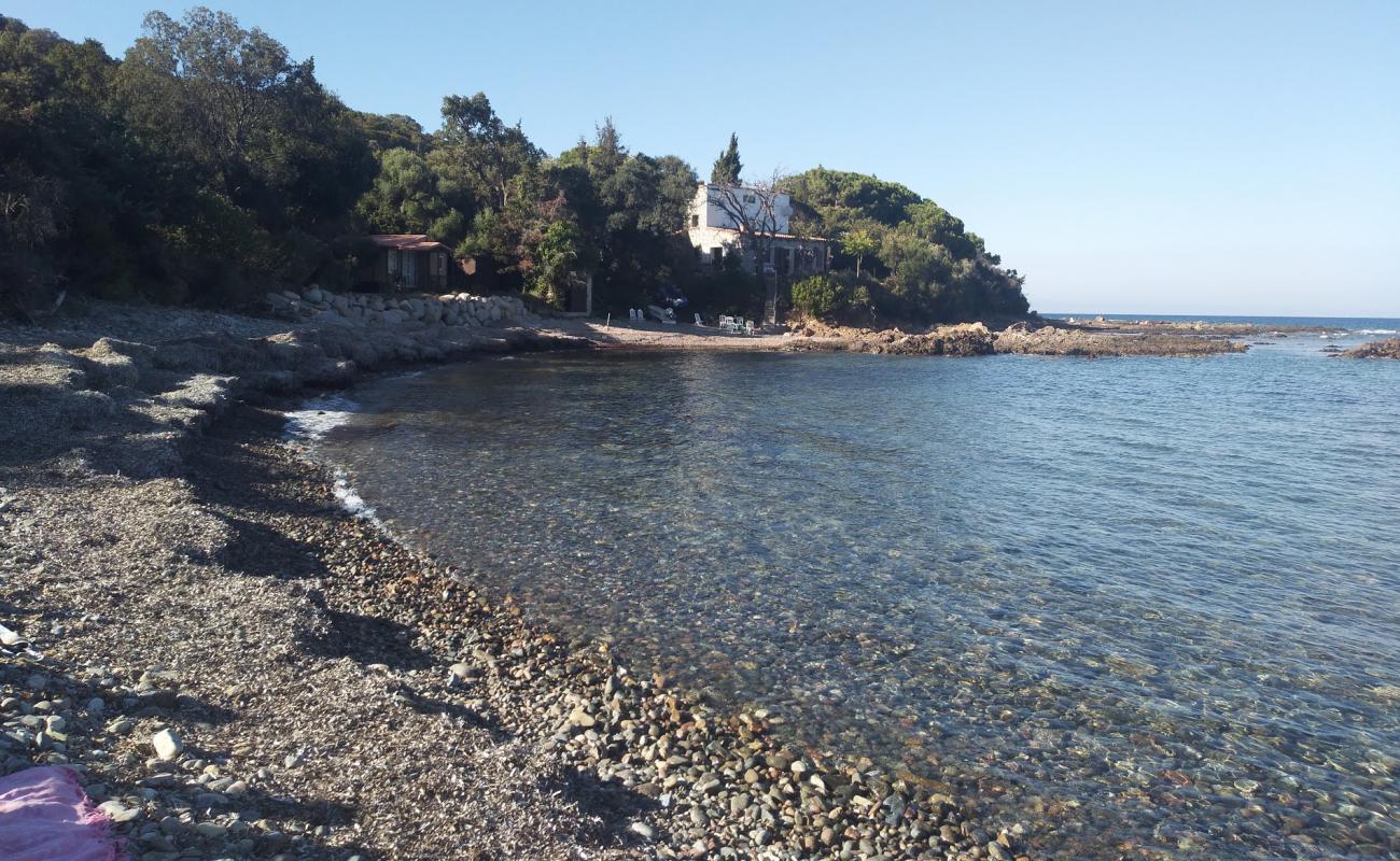 Plage Figa'in fotoğrafı gri çakıl taşı yüzey ile