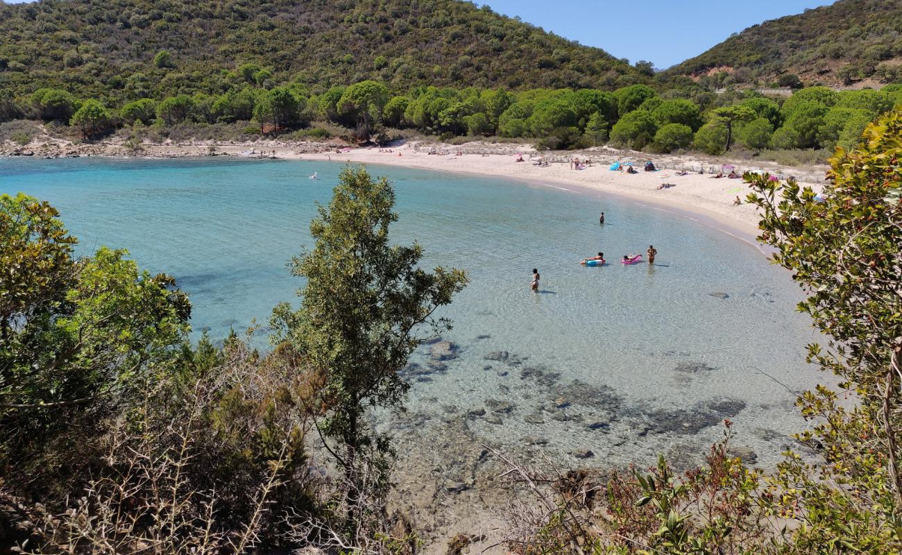 Plage de Fautea'in fotoğrafı parlak ince kum yüzey ile