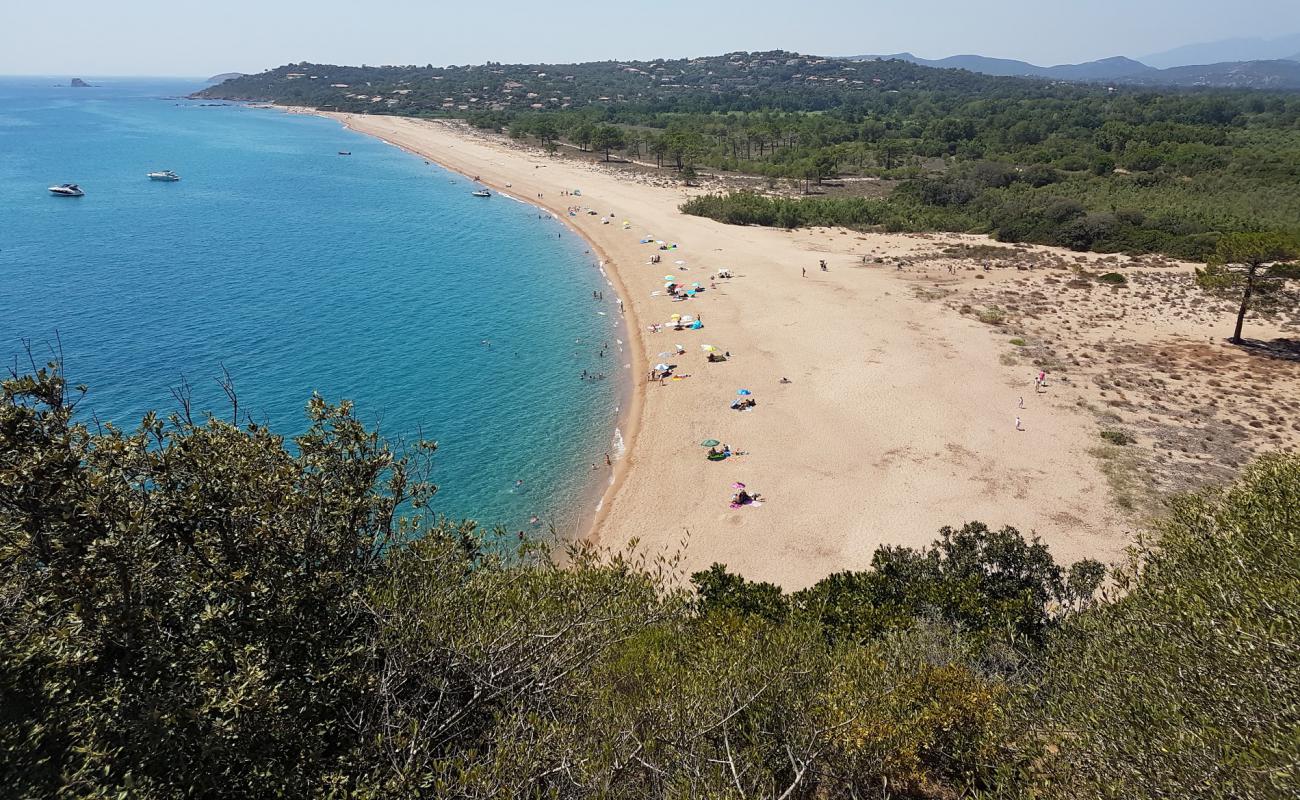 Plage de L'Ovu Santu'in fotoğrafı parlak kum yüzey ile