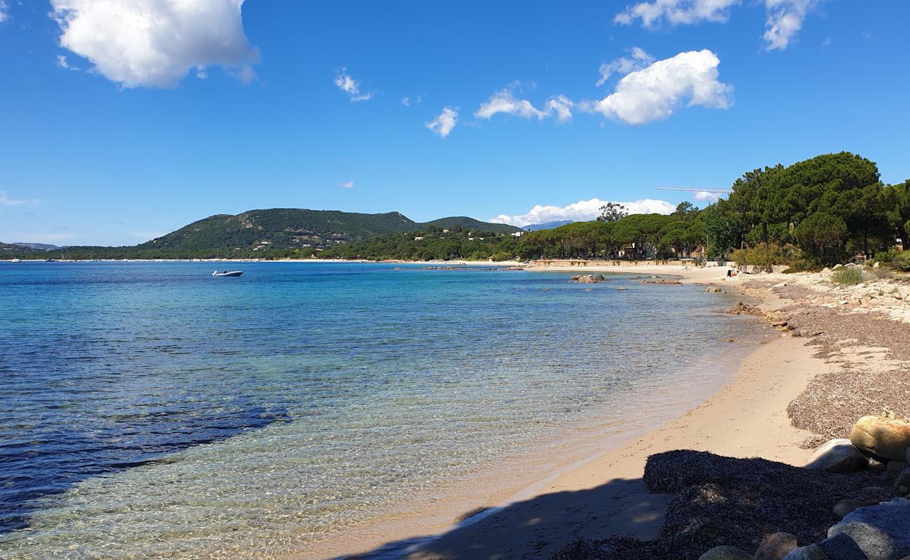 Plage de Vardiola'in fotoğrafı parlak kum yüzey ile