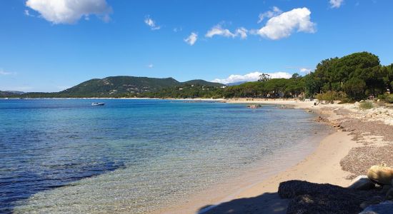 Plage de Vardiola