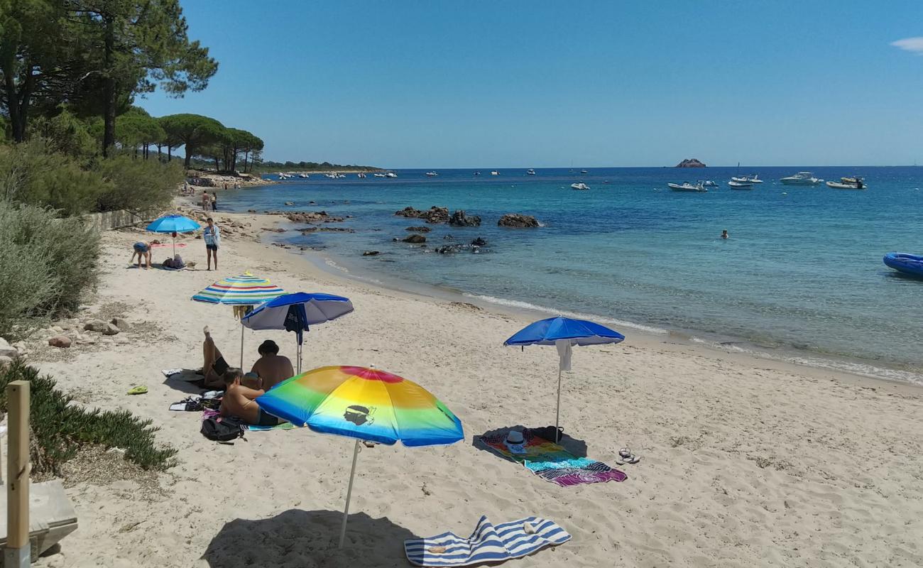 Plage de Vardiola II'in fotoğrafı parlak kum yüzey ile