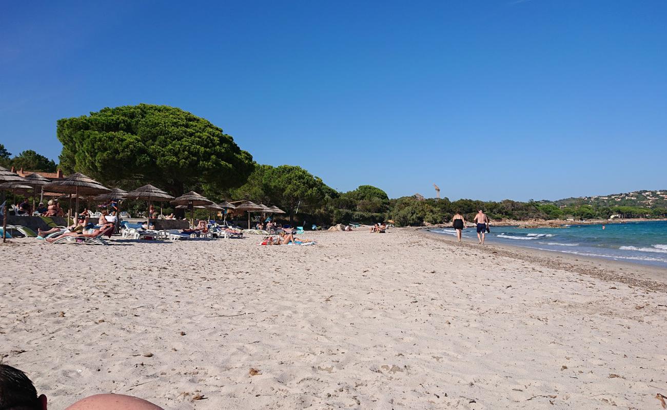 Plage de Pinarellu'in fotoğrafı parlak kum yüzey ile