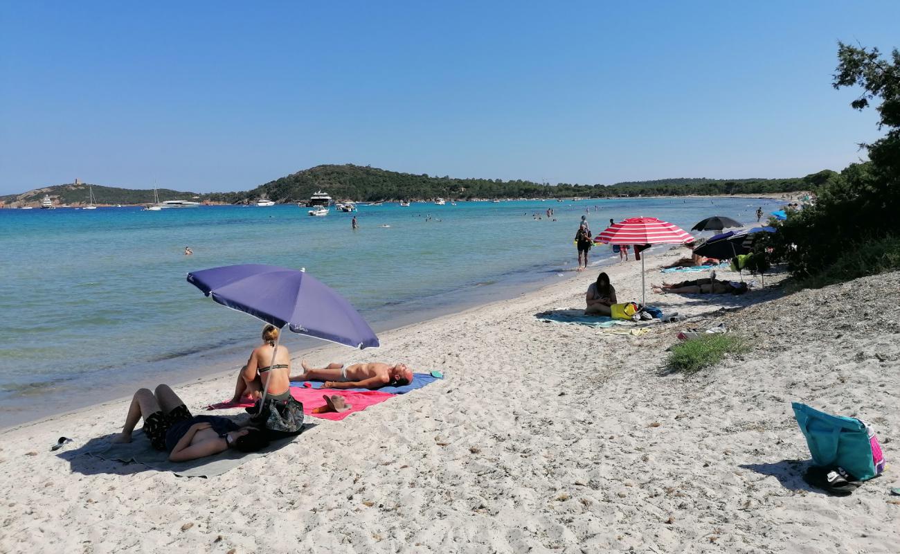 Pinarellu Plajı'in fotoğrafı parlak ince kum yüzey ile