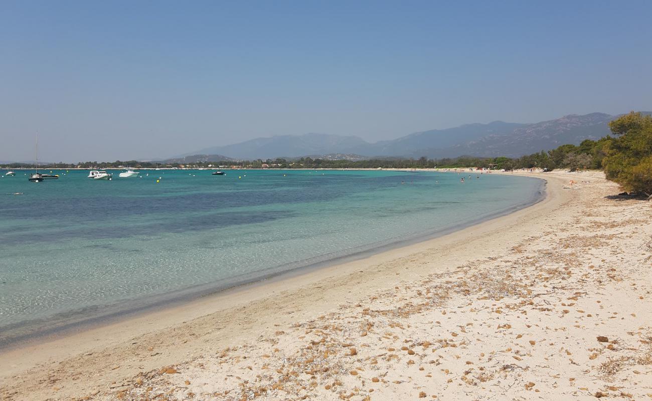 Plage de Pinarellu II'in fotoğrafı parlak ince kum yüzey ile