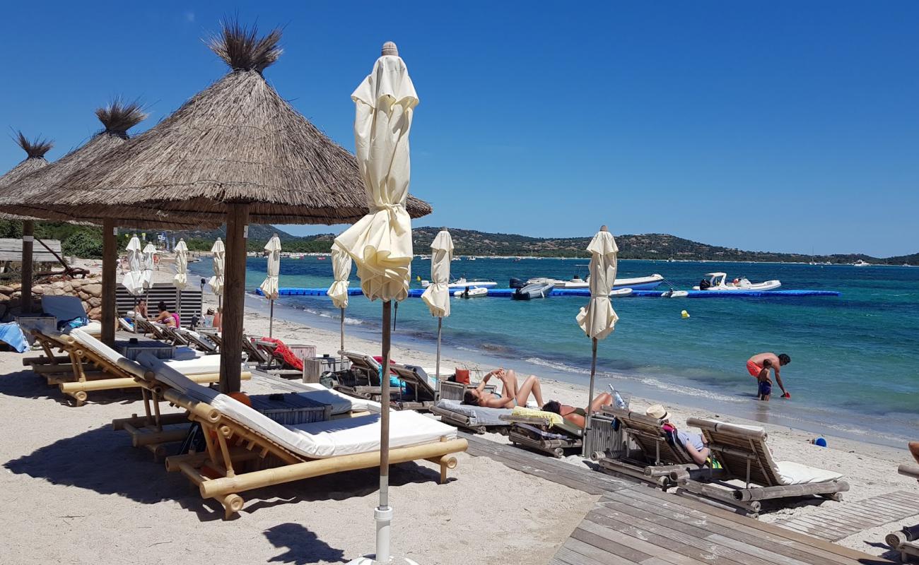 Plage de Pinarellu III'in fotoğrafı parlak ince kum yüzey ile