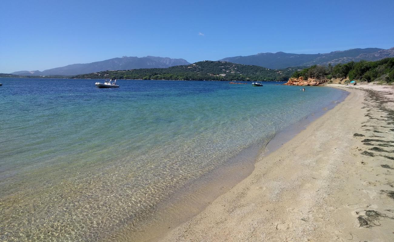 Plage Punta di Benedettu'in fotoğrafı i̇nce bej kum yüzey ile