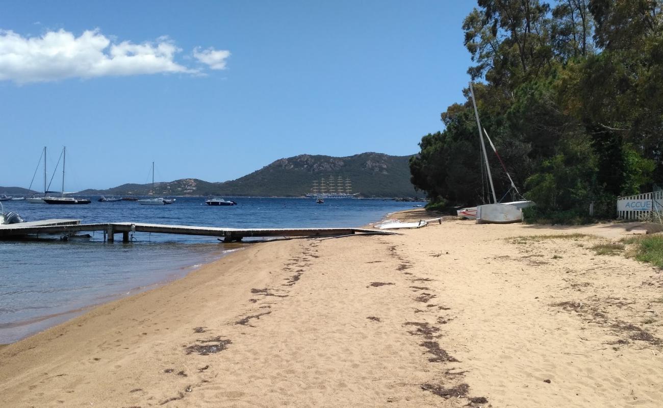 Plage Punta di Benedettu III'in fotoğrafı i̇nce kahverengi kum yüzey ile