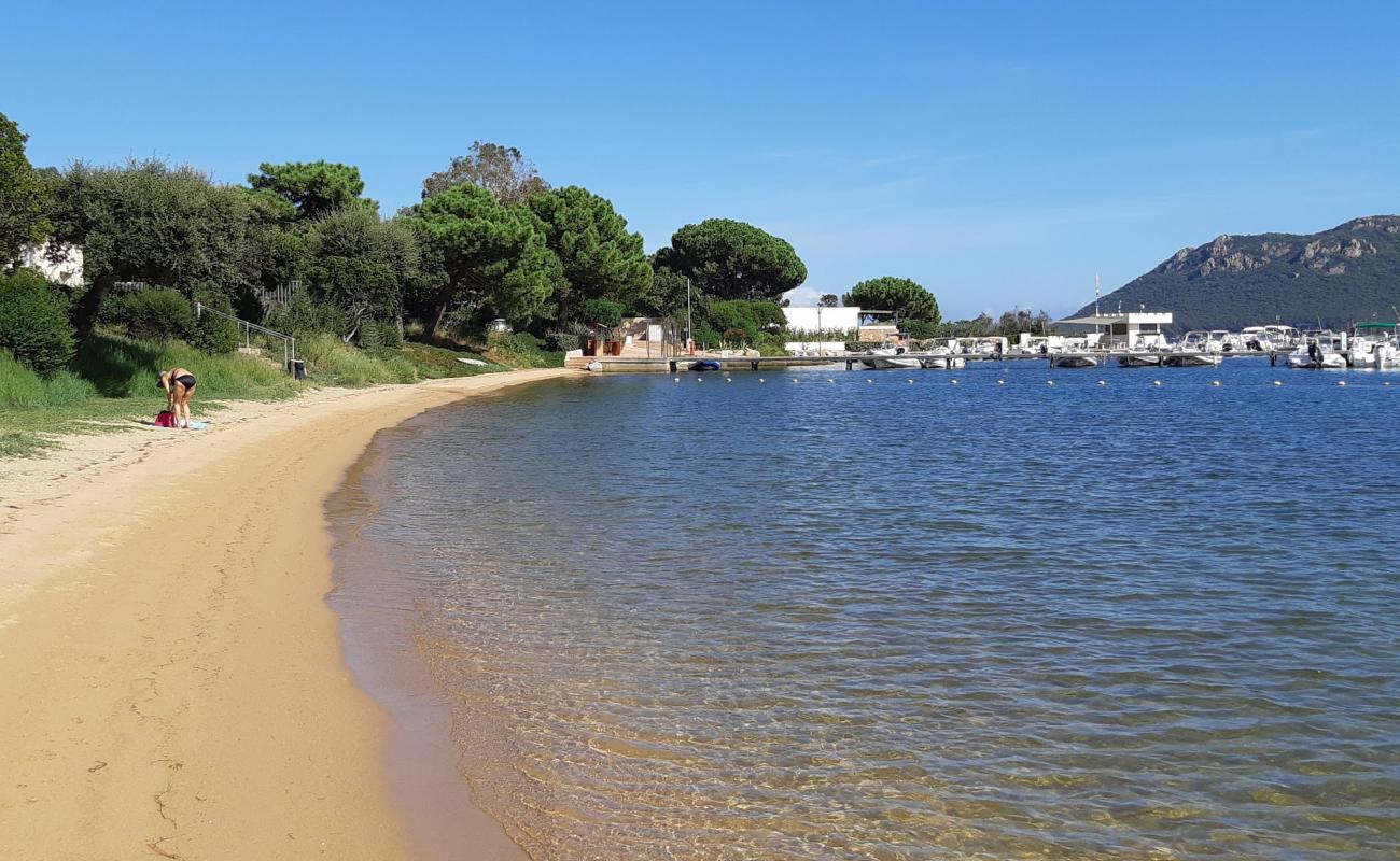 Plage Punta di Benedettu V'in fotoğrafı açık bej kum yüzey ile