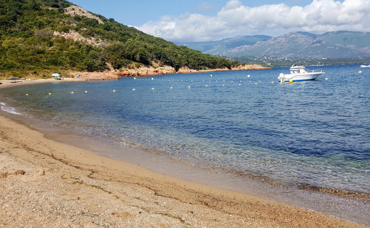 Wild beach'in fotoğrafı açık bej kum yüzey ile