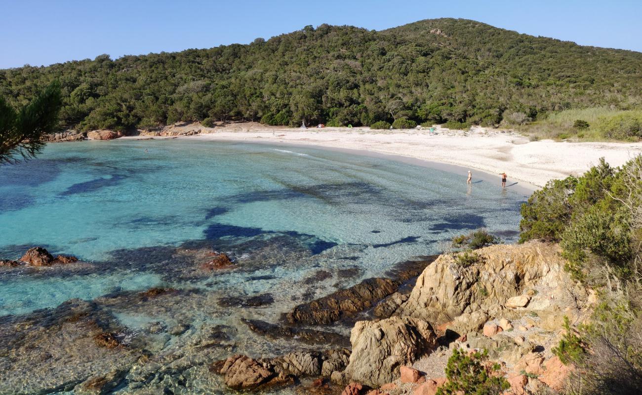 Plage De Carataggio'in fotoğrafı parlak kum yüzey ile