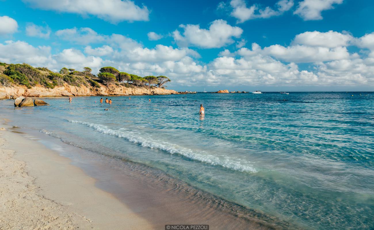 Plage d'Acciaju'in fotoğrafı parlak kum yüzey ile