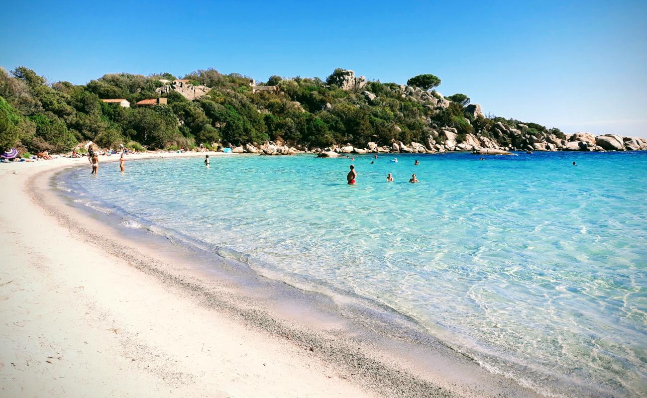 Plage de Santa Giulia II'in fotoğrafı parlak kum yüzey ile