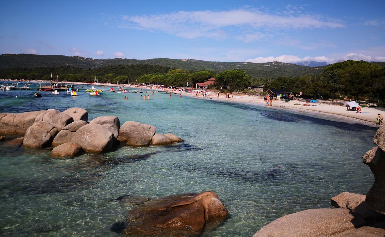 Plage de Santa Giulia'in fotoğrafı parlak kum yüzey ile